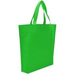non woven bag-shopping bag-tote bag-eco bag 140 apple green